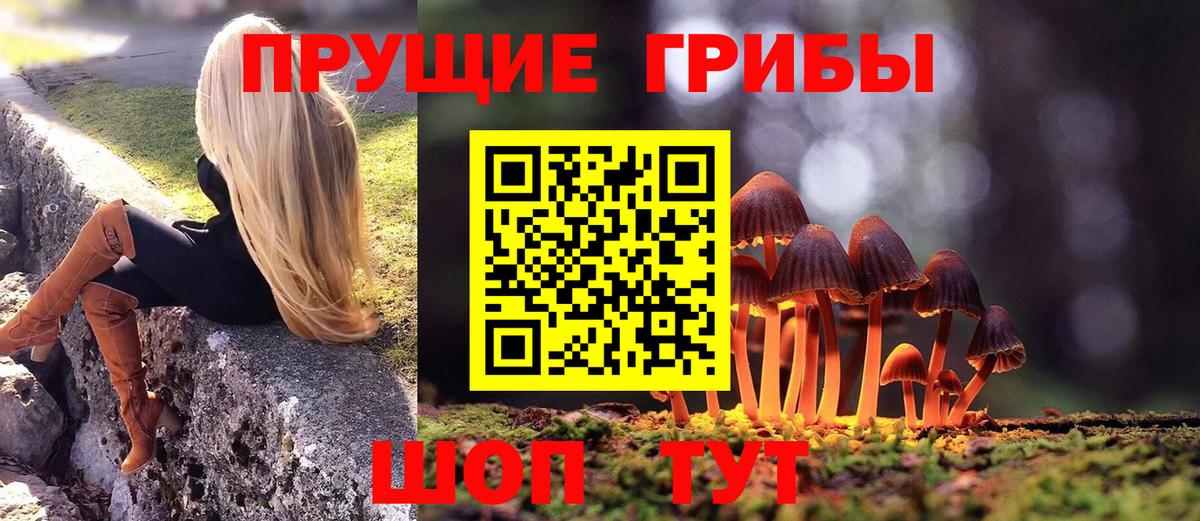Магадан  купить закладку  Вход с VPN  Галлюциногенные грибы Psilocybine cubensis 